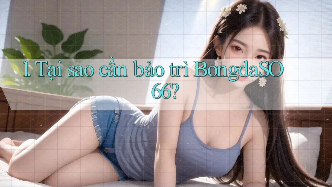 1. Tại sao cần bảo trì BongdaSO66? 1. Tại sao cần bảo trì BongdaSO66?