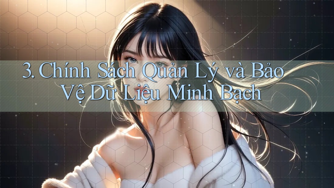 3. Chính Sách Quản Lý và Bảo Vệ Dữ Liệu Minh Bạch