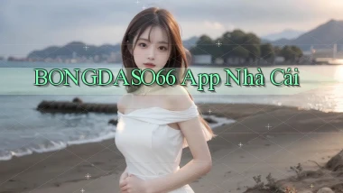 bongdaso66 app nhà cái