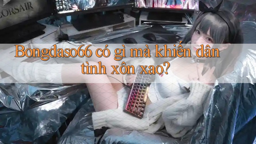Bongdaso66 có gì mà khiến dân tình xôn xao?