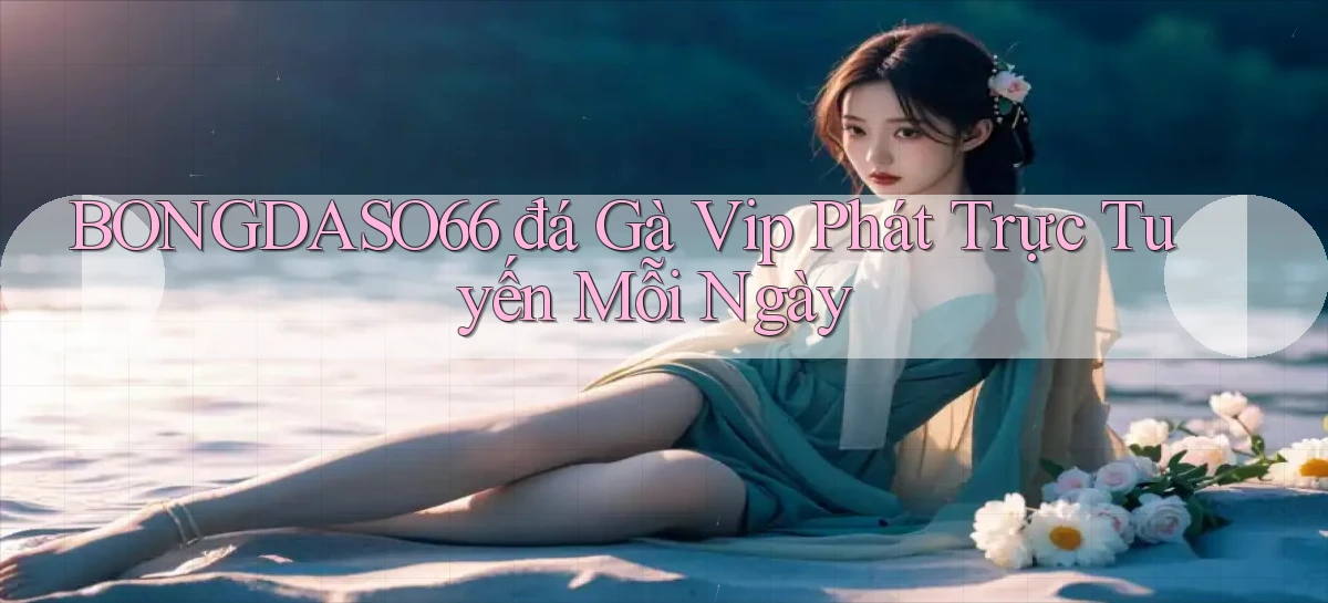 bongdaso66  đá gà vip phát trực tuyến mỗi ngày