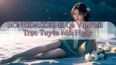 bongdaso66  đá gà vip phát trực tuyến mỗi ngày