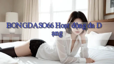 bongdaso66  hoạt động đa dạng