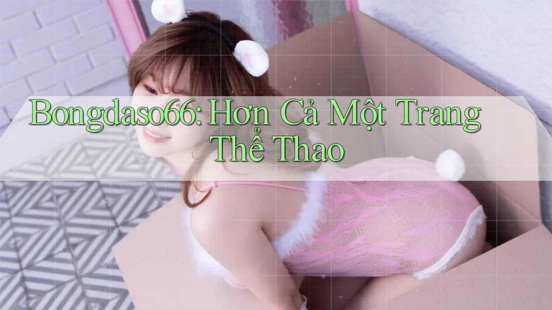 Bongdaso66: Hơn Cả Một Trang Thể Thao