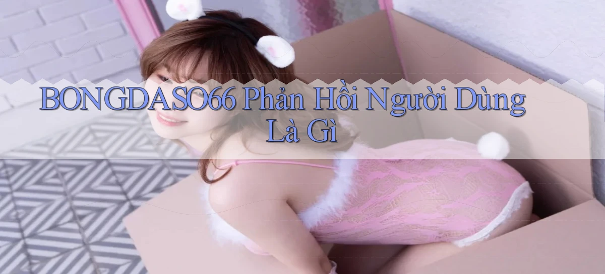 bongdaso66 phản hồi người dùng là gì