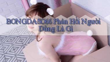 bongdaso66 phản hồi người dùng là gì