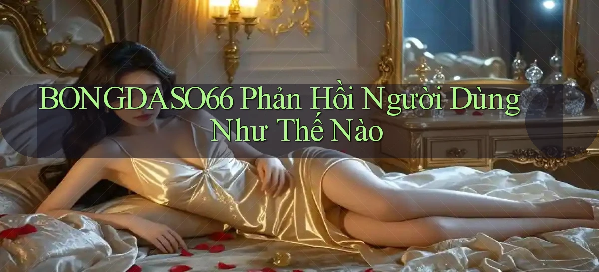 bongdaso66 phản hồi người dùng như thế nào