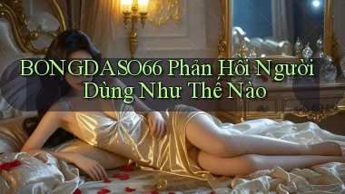 bongdaso66 phản hồi người dùng như thế nào