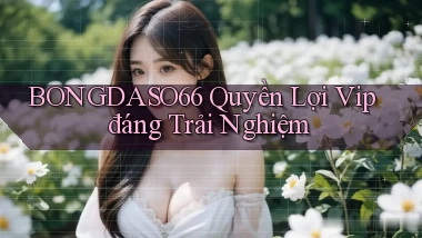 bongdaso66 quyền lợi vip đáng trải nghiệm
