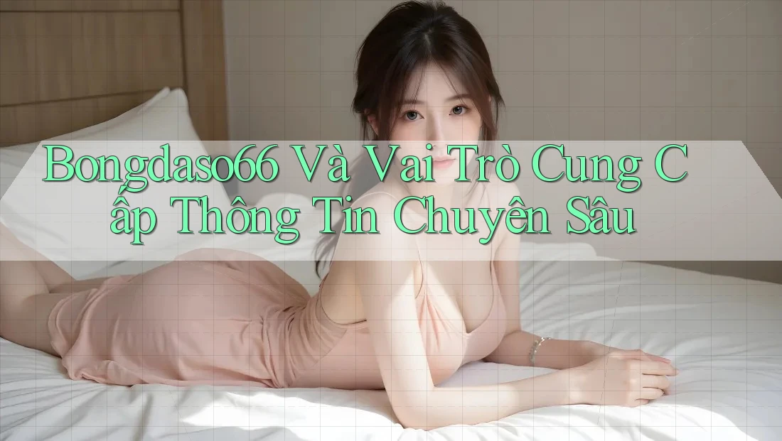 Bongdaso66 Và Vai Trò Cung Cấp Thông Tin Chuyên Sâu