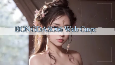 bongdaso66  web cược
