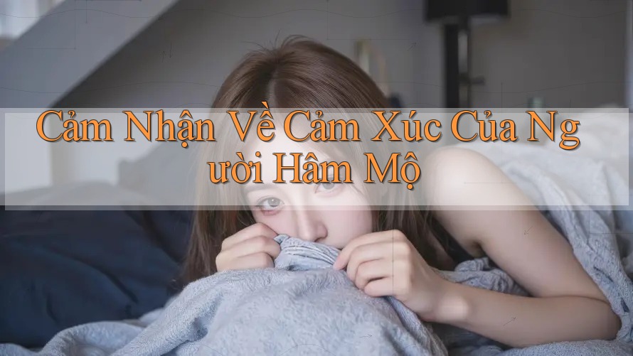 Cảm Nhận Về Cảm Xúc Của Người Hâm Mộ