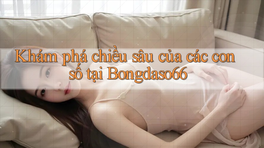 Khám phá chiều sâu của các con số tại Bongdaso66