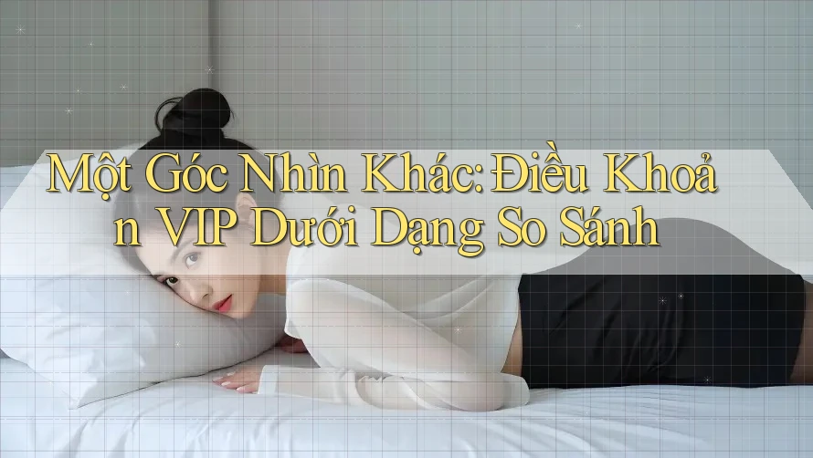 Một Góc Nhìn Khác: Điều Khoản VIP Dưới Dạng So Sánh