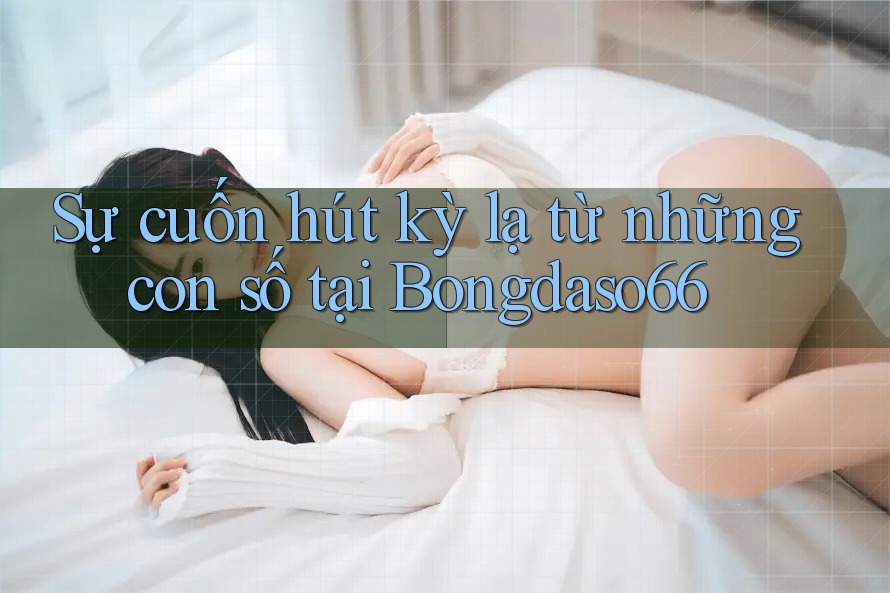 Sự cuốn hút kỳ lạ từ những con số tại Bongdaso66