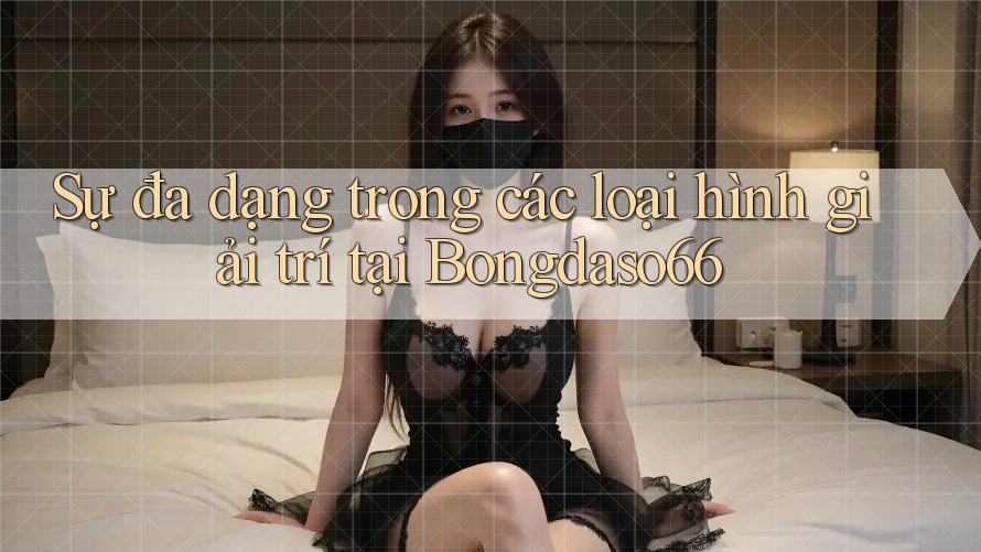 Sự đa dạng trong các loại hình giải trí tại Bongdaso66