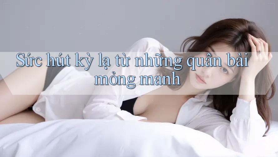 Sức hút kỳ lạ từ những quân bài mỏng manh