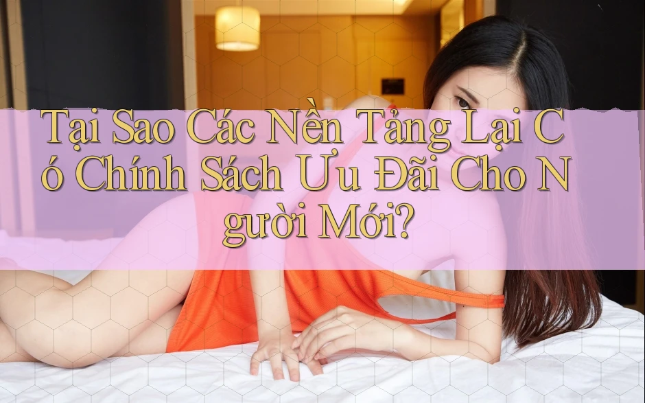 Tại Sao Các Nền Tảng Lại Có Chính Sách Ưu Đãi Cho Người Mới?