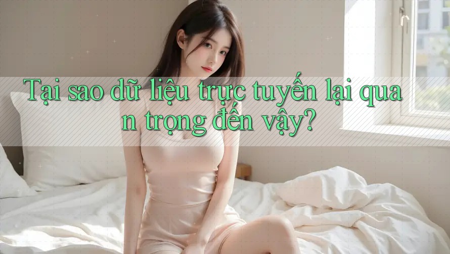 Tại sao dữ liệu trực tuyến lại quan trọng đến vậy? Tại sao dữ liệu trực tuyến lại quan trọng đến vậy?