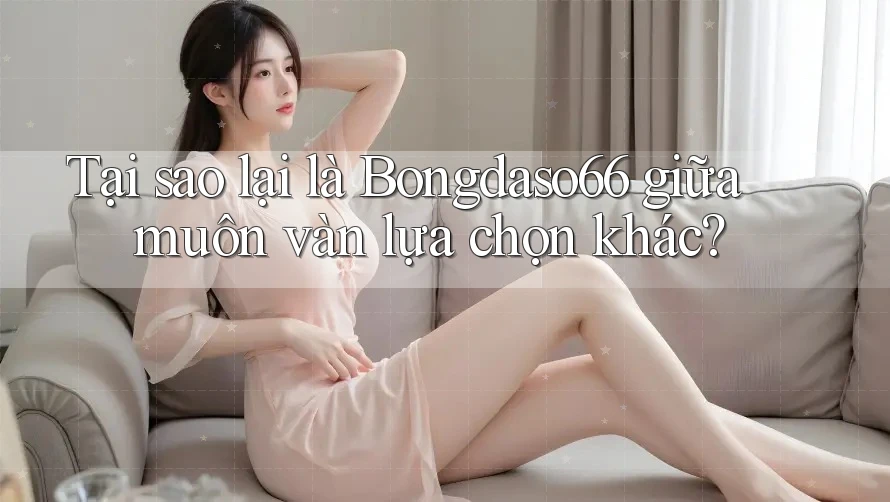 Tại sao lại là Bongdaso66 giữa muôn vàn lựa chọn khác?