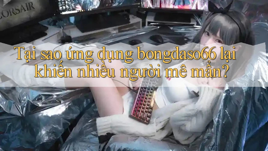 Tại sao ứng dụng bongdaso66 lại khiến nhiều người mê mẩn?