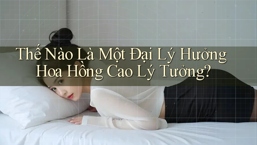 Thế Nào Là Một Đại Lý Hưởng Hoa Hồng Cao Lý Tưởng?