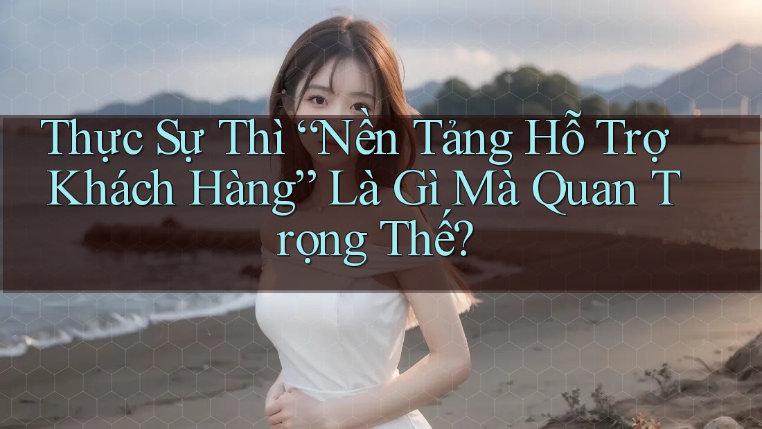Thực Sự Thì “Nền Tảng Hỗ Trợ Khách Hàng” Là Gì Mà Quan Trọng Thế?