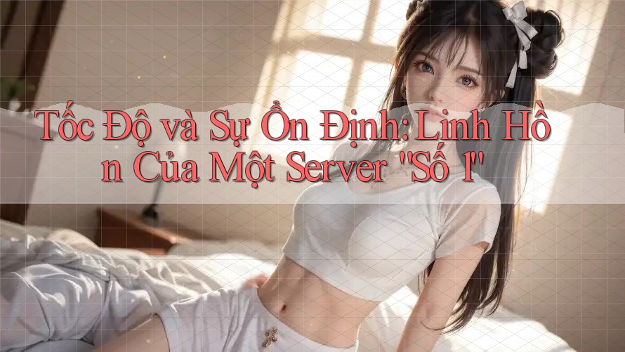 Tốc Độ và Sự Ổn Định: Linh Hồn Của Một Server “Số 1”